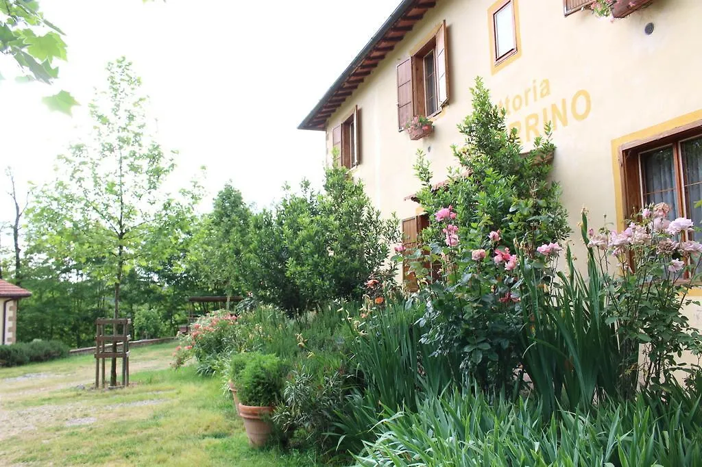 Fattoria Tabarrino Villa Arezzo Italy