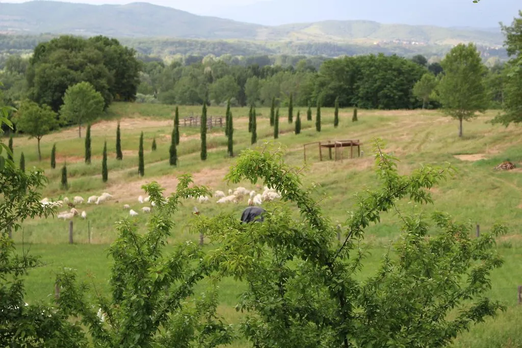 Farm stay Fattoria Tabarrino Villa Arezzo Italy