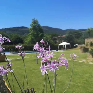  Bed and breakfast Alba Morus Bed E Breakfast Sentiti A Casa Nel Cuore Della Toscana