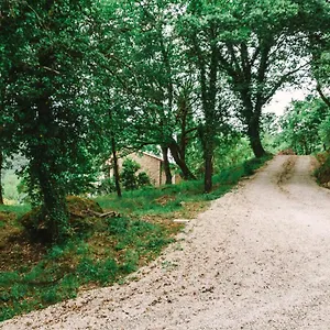Parulia Arezzo