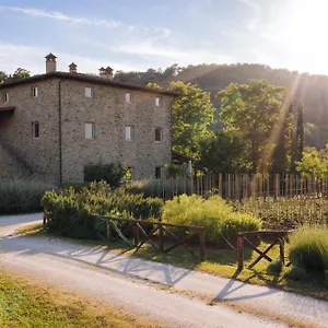 Cuprena Arezzo