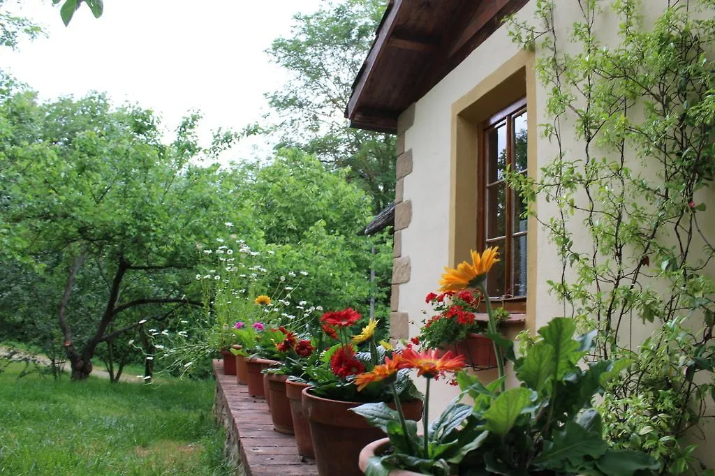 Vila Fattoria Tabarrino Arezzo Farma